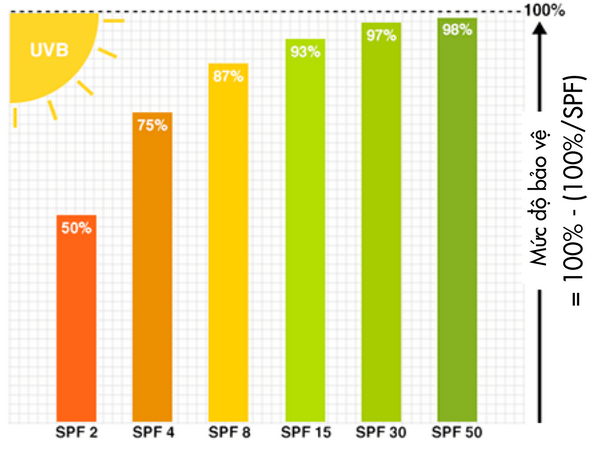 chỉ số chống nắng SPF là gì